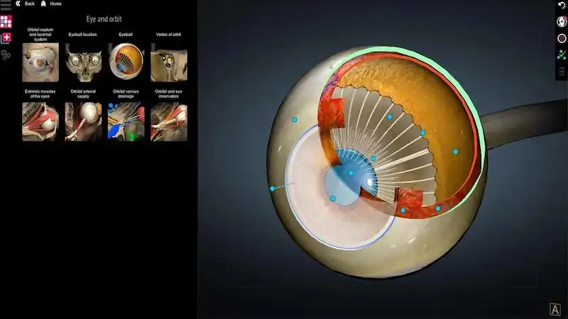 تحميل Anatomy Learning [3D Atlas] مهكر 2023 للاندرويد