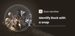 تحميل تطبيق [Premium] Rock Identifier مهكر 2023
